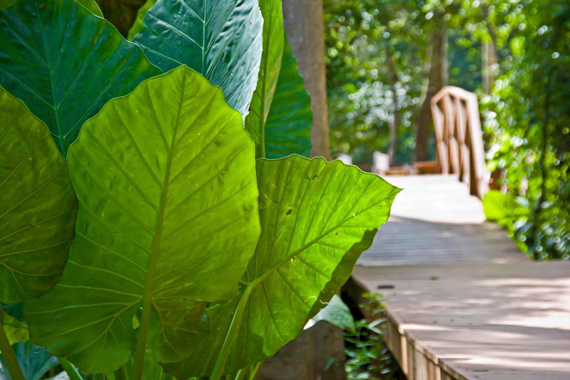 Tierra Guaraní Lodge Puerto Iguazú Exteriér fotografie