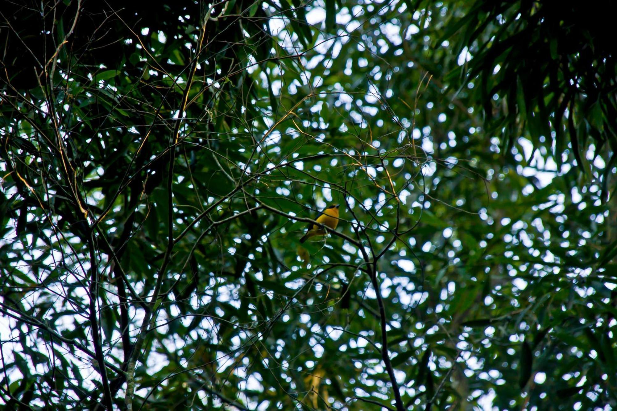 Tierra Guaraní Lodge Puerto Iguazú Exteriér fotografie