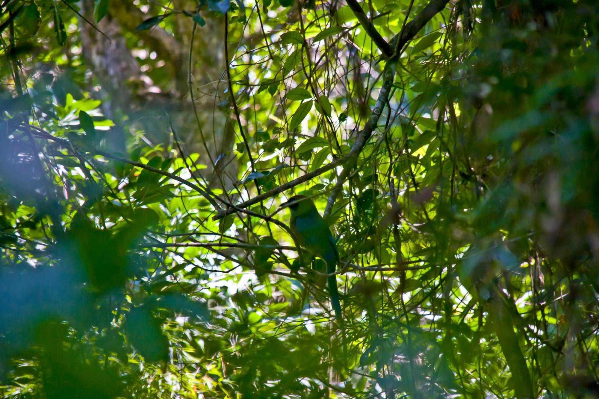 Tierra Guaraní Lodge Puerto Iguazú Exteriér fotografie