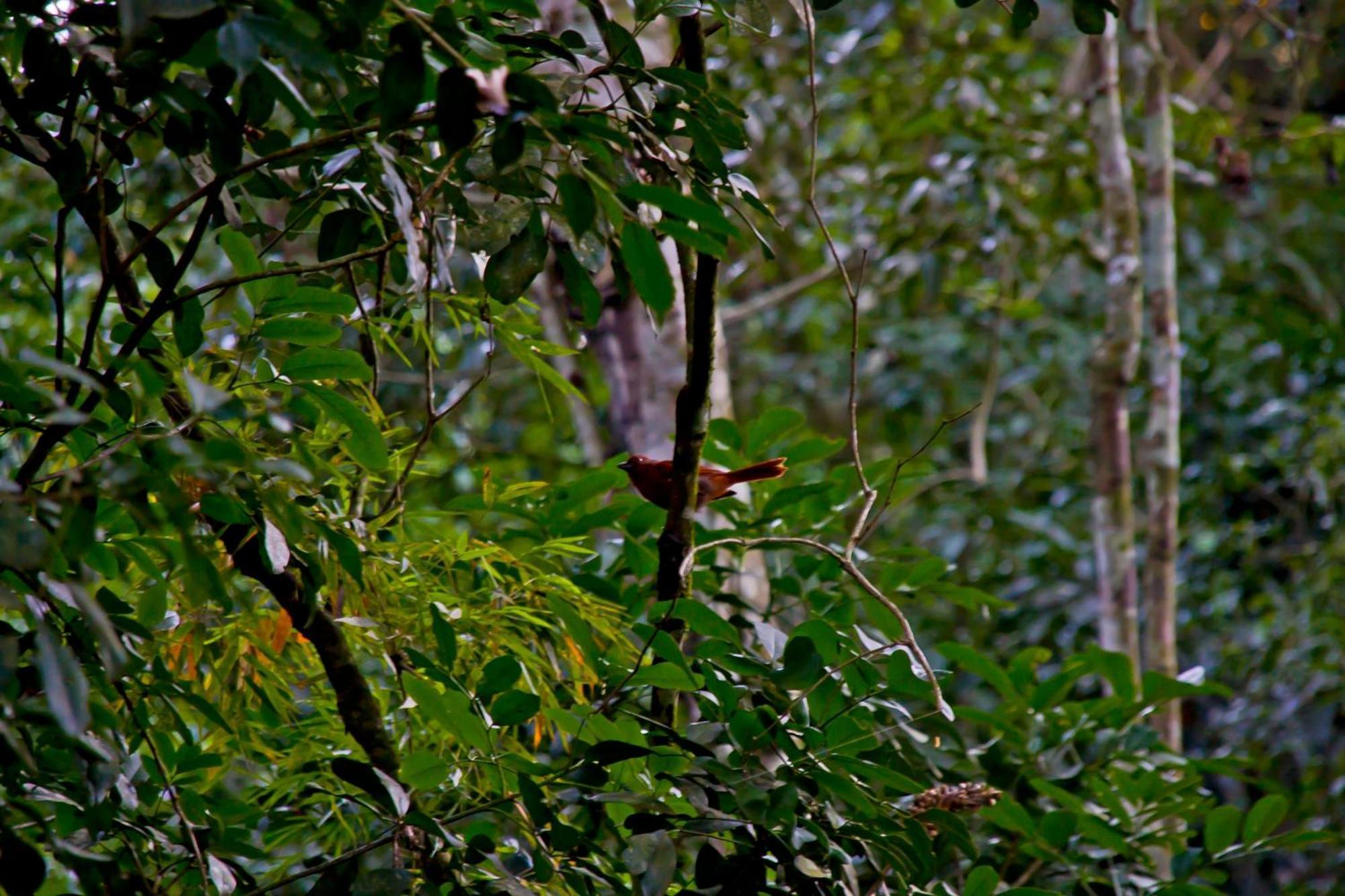 Tierra Guaraní Lodge Puerto Iguazú Exteriér fotografie