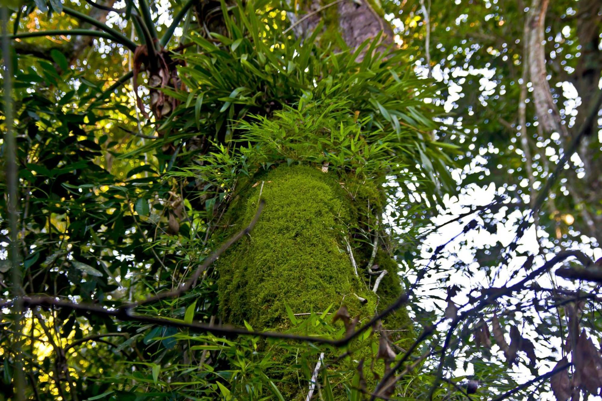 Tierra Guaraní Lodge Puerto Iguazú Exteriér fotografie