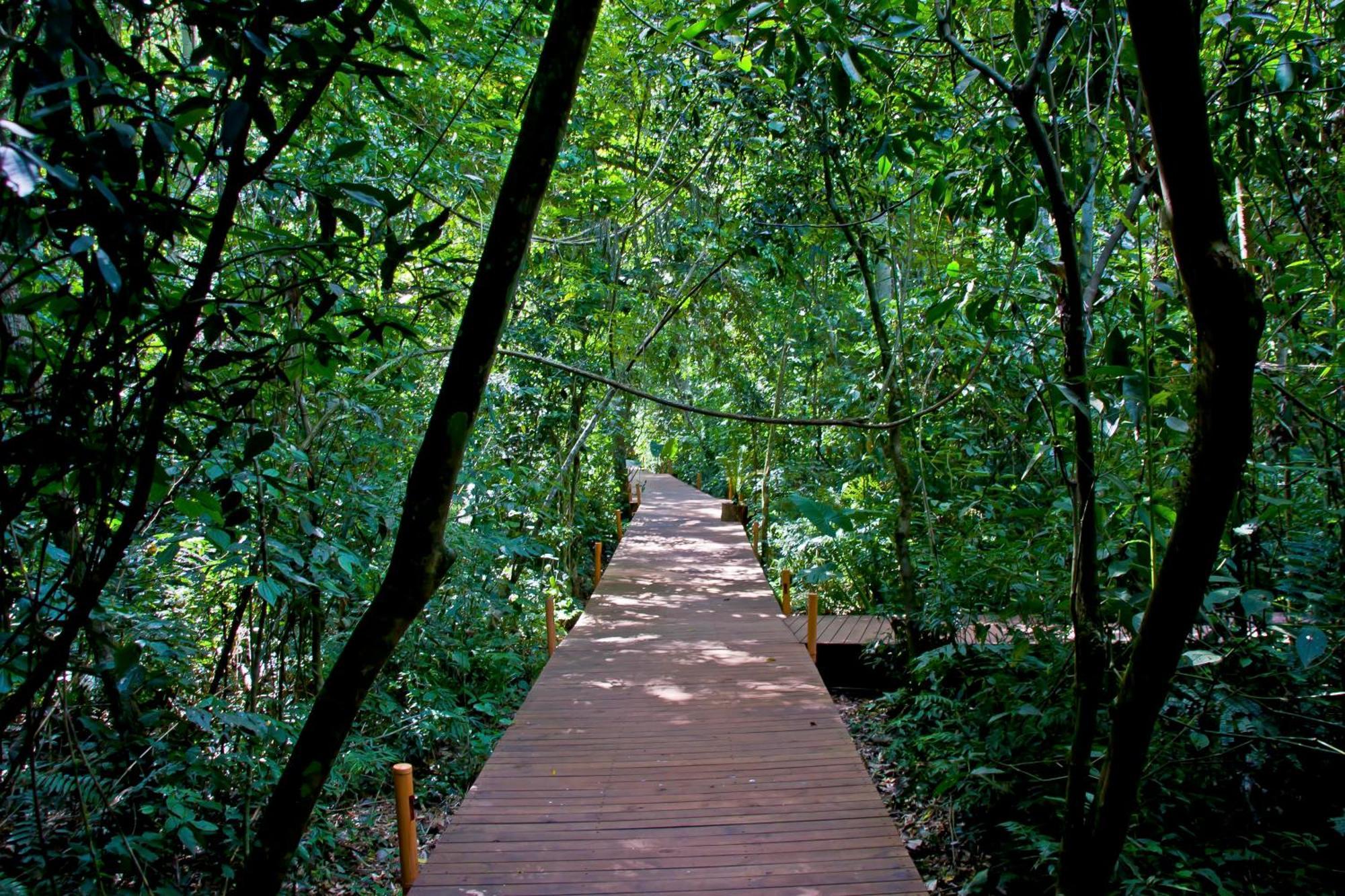 Tierra Guaraní Lodge Puerto Iguazú Exteriér fotografie