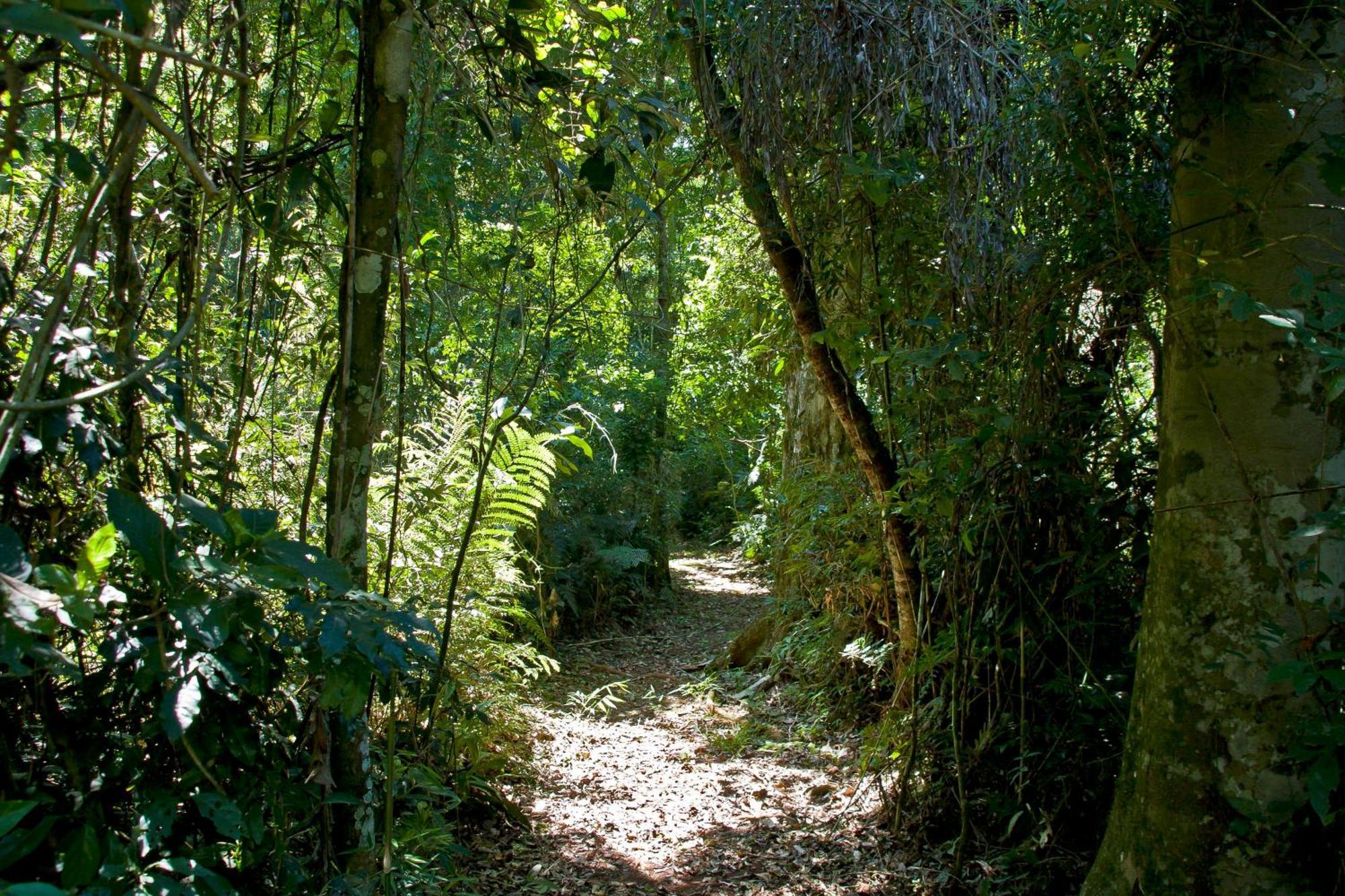 Tierra Guaraní Lodge Puerto Iguazú Exteriér fotografie