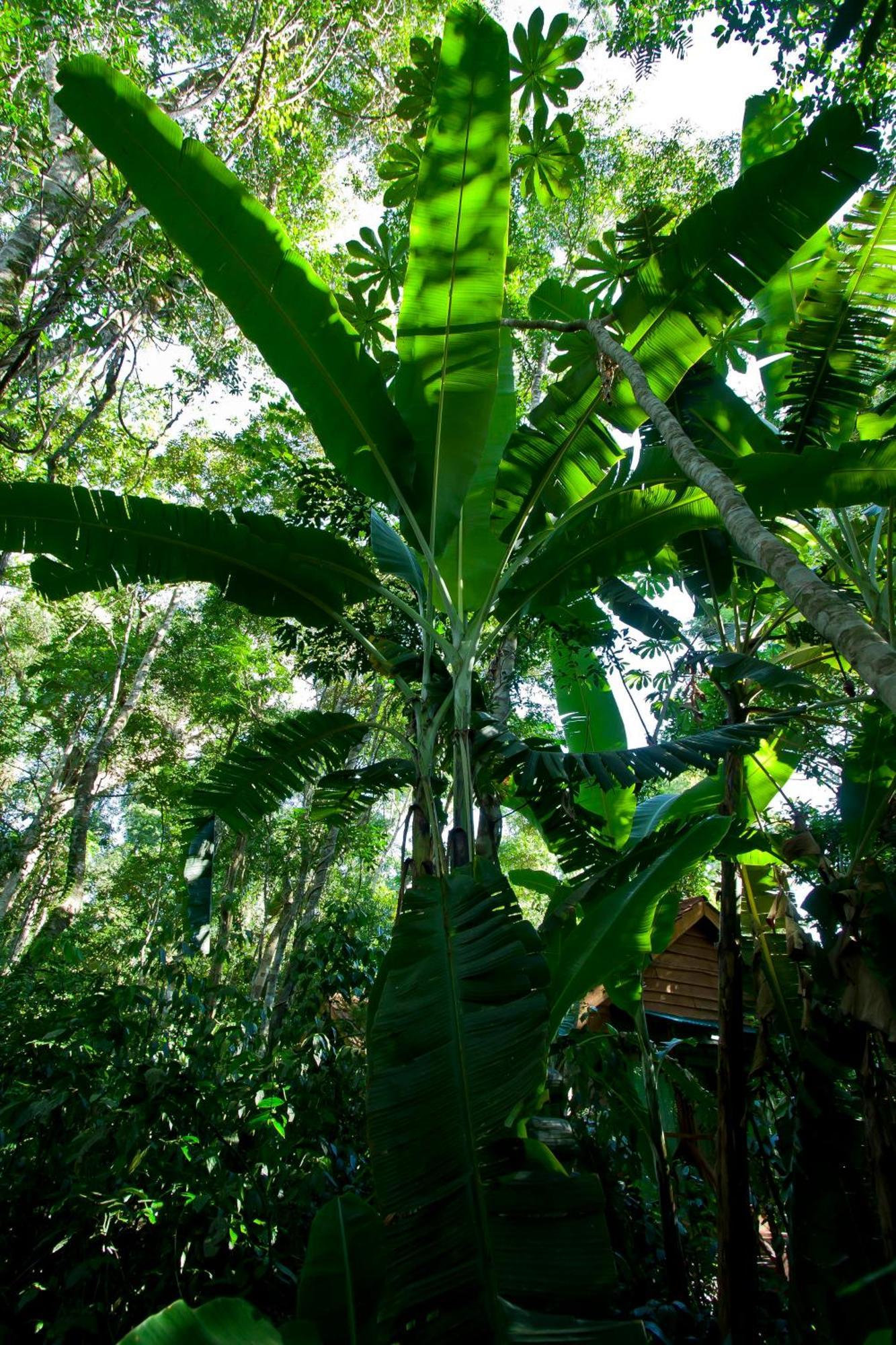 Tierra Guaraní Lodge Puerto Iguazú Exteriér fotografie