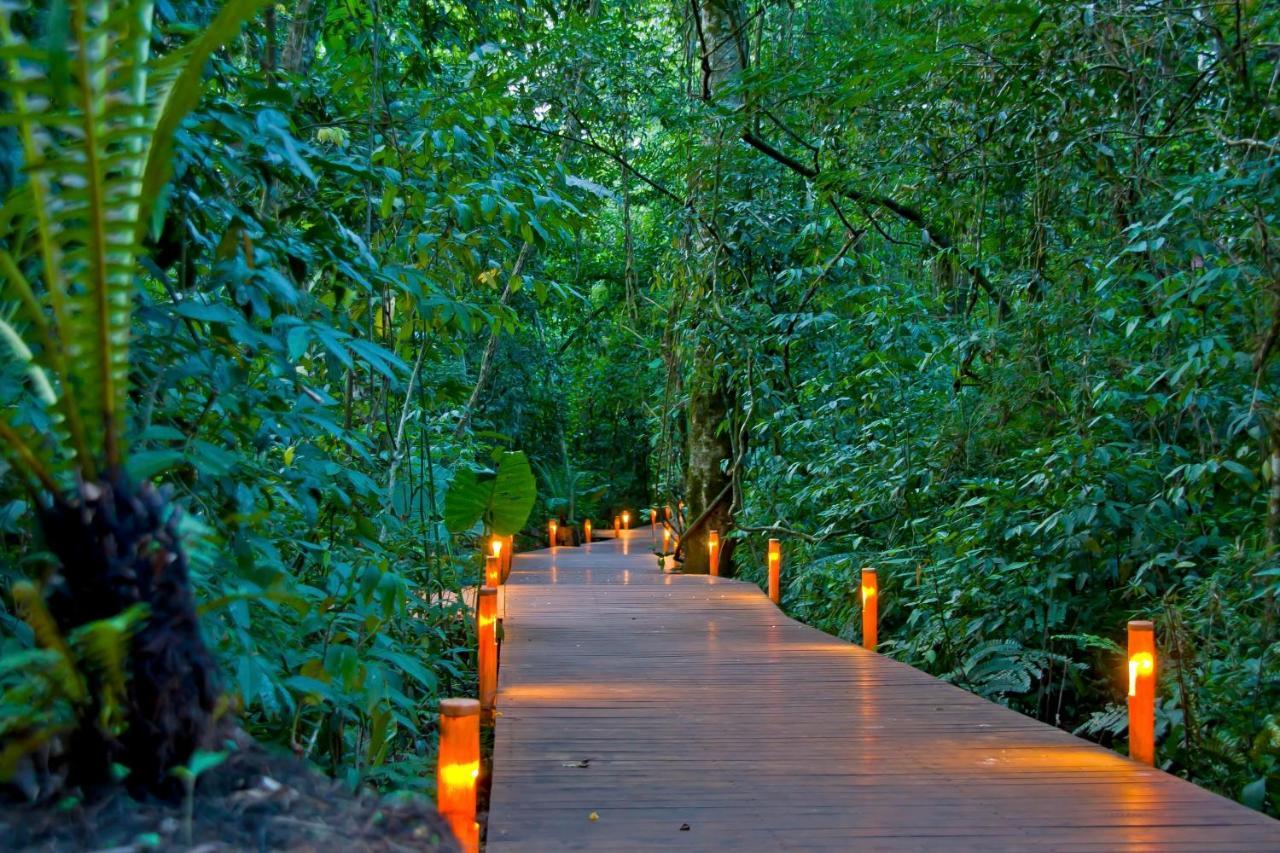 Tierra Guaraní Lodge Puerto Iguazú Pokoj fotografie